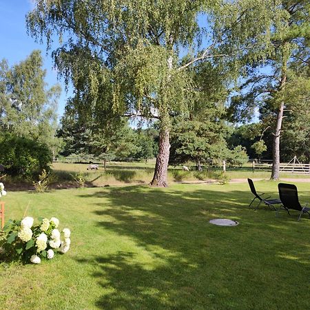 Апартаменти Forsthaus Zartwitzer Huette Рехлін Екстер'єр фото